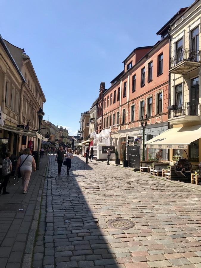 Kaunas Old Town Apartment Dış mekan fotoğraf